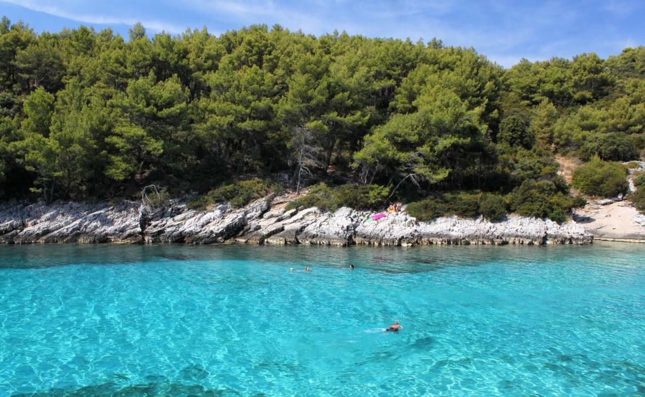 Apartament Tomic *