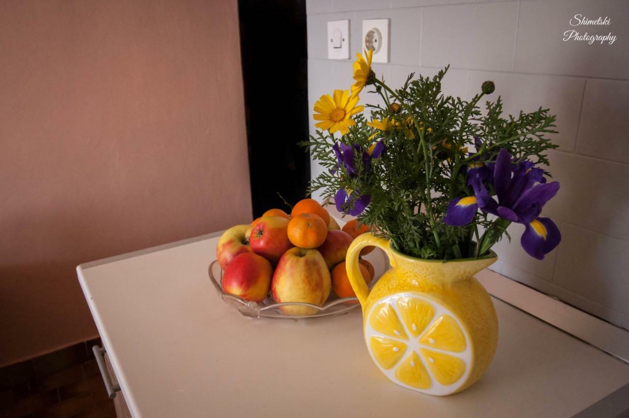 Tomic Apartment *